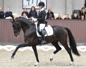 Mette Sejbjerg Jensen and Got It at the 2019 Danish Young Horse Championships :: Photo © Ridehesten