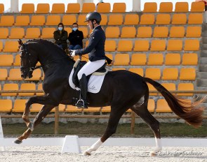 Yoann Pinto and Rolex DP at the 2020 Portuguese Young Horse Championships :: Photo © Rui Pedro Godinho
