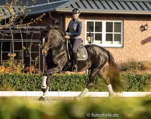Bernadette Brune and Spirit of the Age OLD this week at Gestut Brune in Bad Zwischenahn, Germany :: Photo © Fotodiele.de