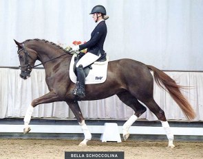 Bella Schoccolina (by Benicio x Fidertanz)