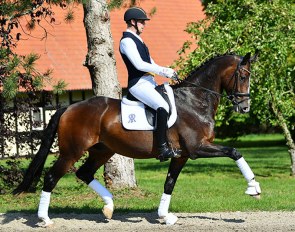 Frederic Wandres on Gremlin (by Grey Flanell x Donnerschwee x Wolkentanz II)