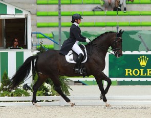 Denise Hallion and Wervelwind at the 2014 World Equestrian Games :: Photo © Astrid Appels