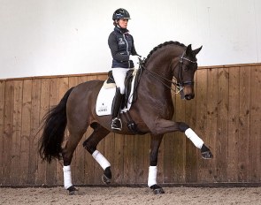 Charlotte Fry and Lord Leatherdale at Van Olst Horses in Den Hout, The Netherlands :: Photo © Focussed.nl