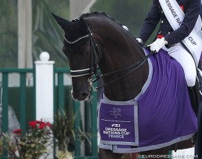 Dark Legend at the 2019 FEI Nations Cup in Compiègne :: Photo © Astrid Appels