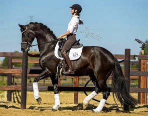 Alizee Froment and Windy de la Roche CMF :: Photo © Equigeniek
