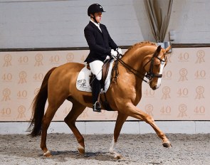 German based Belgian Dries van Dyck on Didou at the 2020 CDN Ankum :: Photo © Ruchel