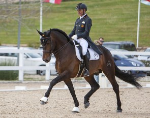 Juan Antonio Jimenez Cobo on Troyano Mor, a PRE stallion a real Dressage talent, bred by Las Morerías.