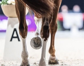Dressage legs at the 2021 CDI-W Salzburg :: Photo © Lukasz Kowalski