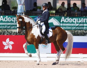 Jim Koford and Adiah HP at the 2019 CDI Wellington :: Photo © Astrid Appels