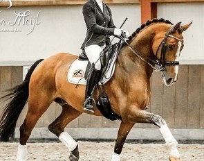 Jade Oord and Issey Myake at a practise show in Assen in September 2020 :: Photo © Iris van Meijl