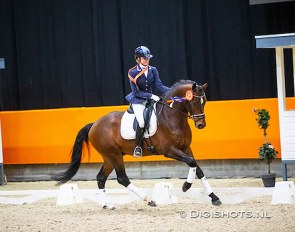 Saskia van Es and Kentucky at the 2020 Dutch Indoor Championships in Ermelo :: Photo © Digishots