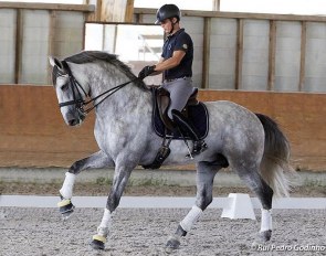 Vasco Mira Godinho riding Imperador dos Cedros in a clinic with Daniel Bachmann Andersen in Portugal :: Photo © Rui Pedro Godinho