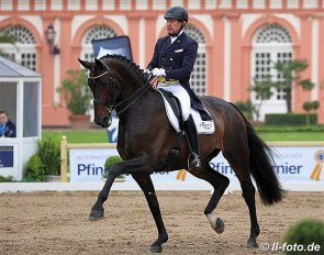 Oliver Luze and Fohlenhof's Rock 'n Rose at the 2013 CDI Wiesbaden :: Photo © LL-foto