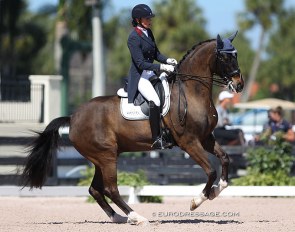 Charlotte Jorst and Ray Dance at the 2017 CDN Wellington :: Photo © Astrid Appels