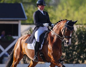 Jessica Leijser and Djambalaya at the 2019 CDI Sint-Truiden :: Photo © Astrid Appels