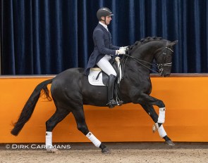 Remy Bastings and Hennessy in the KWPN Online Stallion Show taped in January 2021 :: Photo © Dirk Caremans