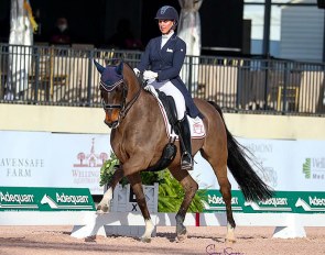 Jennifer Williams and Millione at the 2021 CDI Wellington :: Photo © Sue Stickle