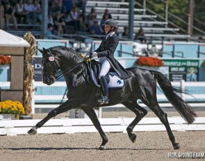 UNO Don Diego competing with Catherine Malone at the 2014 CDI Devon