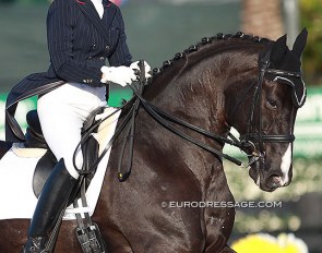 Diane Creech and Hallmark at the 2015 CDI Wellington :: Photo © Astrid Appels