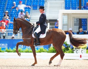 Emile Faurie and Theodora Livanos' Dono di Maggio at the 2018 World Equestrian Games in Tryon :: Photo © Astrid Appels