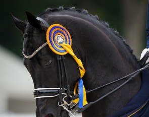 The beautiful Compiegne ribbon and winner's cooler sponsored by Crédit Mutuel Nord Europe :: Photo © Astrid Appels