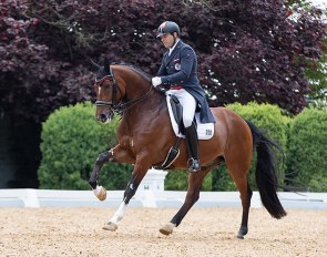 Christian Schumach and Te Quiero SF at the 2021 CDI Achleiten last weekend :: Photo © CDI Achleiten