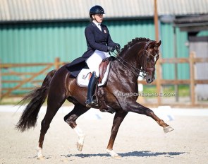 Ellen Birgitte Farbrot on Red Rebel at the 2021 CDI Grote Brogel :: Photo © Astrid Appels