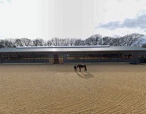 Ellie McCarthy at her Forest Oak Equestrian on the edge of the New Forest National Park