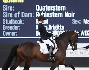 Nicole Wego-Engelmeyer on Quiana at the 2019 World YH Championships in Ermelo