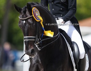 Hans Peter Minderhoud and Zonik at the 2021 CDIO Compiègne :: Photo © Astrid Appels