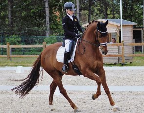Suraya Hendrikx and Vigo Gold NA :: Photo © Equine Dancers Photography