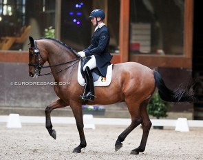 Jeroen Devroe and Dante DL at the 2021 CDN Grote Brogel in February :: Photo © Astrid Appels