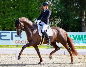 Frederic Wandres and Diaton at the 2021 Hagen Bundeschampionate qualifier :: Photo © LL-foto