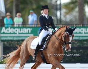 Patricia Koschel and Leuchtfeuer DE at the 2015 CDI Wellington :: Photo © Astrid Appels