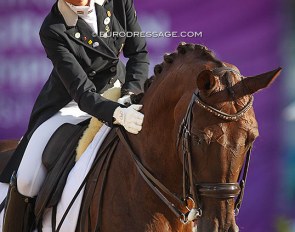 Aniko Losonczy and Mystery at the 2017 European Dressage Championships in Gothenburg :: Photo © Astrid Appels