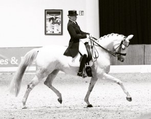 Ilka Boening and Weisse Rose competing in Ankum :: Photo private