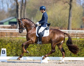 Spaniard Curro Benitez Sanchez on Lord Platinum at the 2021 Dutch WCYH selection trial :: Photo © Digishots