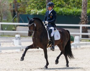 Norteno FS, owned by Yeguada Arroyomonte and ridden by Alberto Garcia-Briñon :: Photo © Lily Forado