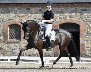 Dennis Kjaer on Polka Fascination M (by Furstenball x Sandro Hit) at the 2021 Danish WCYH selection trial in Vilhelmsborg :: Photo © Ridehesten