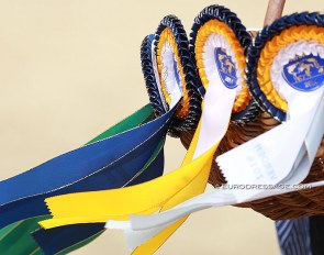 Ribbons for the World Young Horse Championships in Verden in 2014 :: Photo © Astrid Appels
