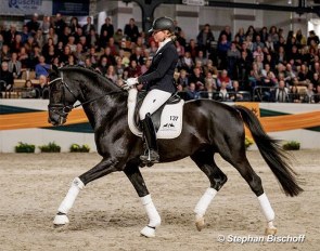 Laura Strobel and Bourani at the 2020 Trakehner Stallion Licensing :: Photo © Stephan Bischoff