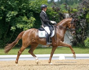 Riccardo Sanavio and Scuderia 1918's Westfalian mare Venere at the 2021 CDI Achleiten :: Photo © Petra Kerschbaum