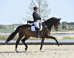 Michael Sogaard and Slaebaeksgaard's Santino :: Photo © Ridehesten
