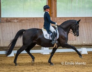 Kristine Möller and Dallenia win the small tour division at the 2021 Luxembourg Dressage Championships two weeks ago. An embryotransfer in utero foal in a recipient mare was the top lot of the Trakehner auction :: Photo © Emile Mentz