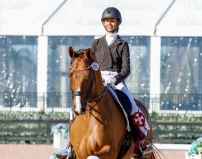 Ellesse Gundersen (née Tzinberg) on Villeroy Nord at the 2020 CDI Wellington :: Photo © Sue Stickle