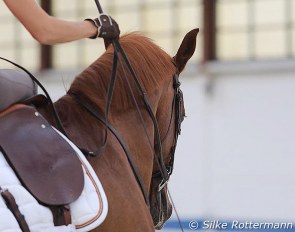 Always keep the wrist relaxed and straight when using rein aids. The whole upper limb from shoulders to fingertips needs to feel soft, after the rein aid the hand returns down again. Using the direction of the rein is very clear and helpful for the horse in many exercises.