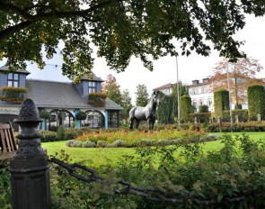 Gestüt Schafhof in Kronberg :: Photo © private