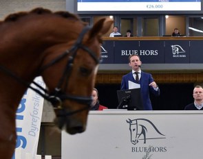 Auctioneer Frederik de Backer handling the hammer at the 2021 Blue Hors Autumn Auction