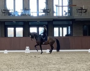 Nanna Merrald and Blue Hors Zatchmo practising the Grand Prix test at home for the CDI Randbøl