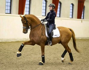 Anna Zibrandtsen on Dorado in Sweden :: Photo © Tullstorp.nu